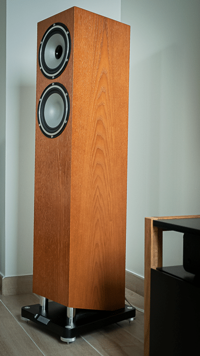 tannoy revolution XT6F